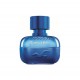 Hollister Festival Nite For Him Edt